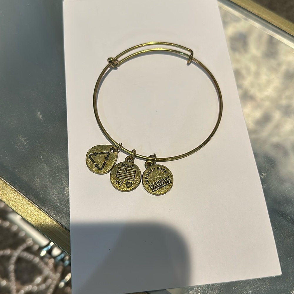 Women’s Plain Gold Alex and Ani Charm Bracelet / Bangle